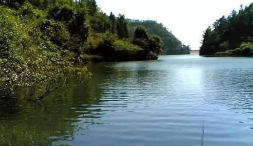 野外水域
